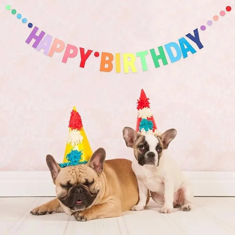 Party Banner Gold - 大人、子供、女の子、女性用 誕生日おめでとうバナー レインボーレッドパーティー用品付き かわいい紙旗 ゴールド文字 エコ再利用可能