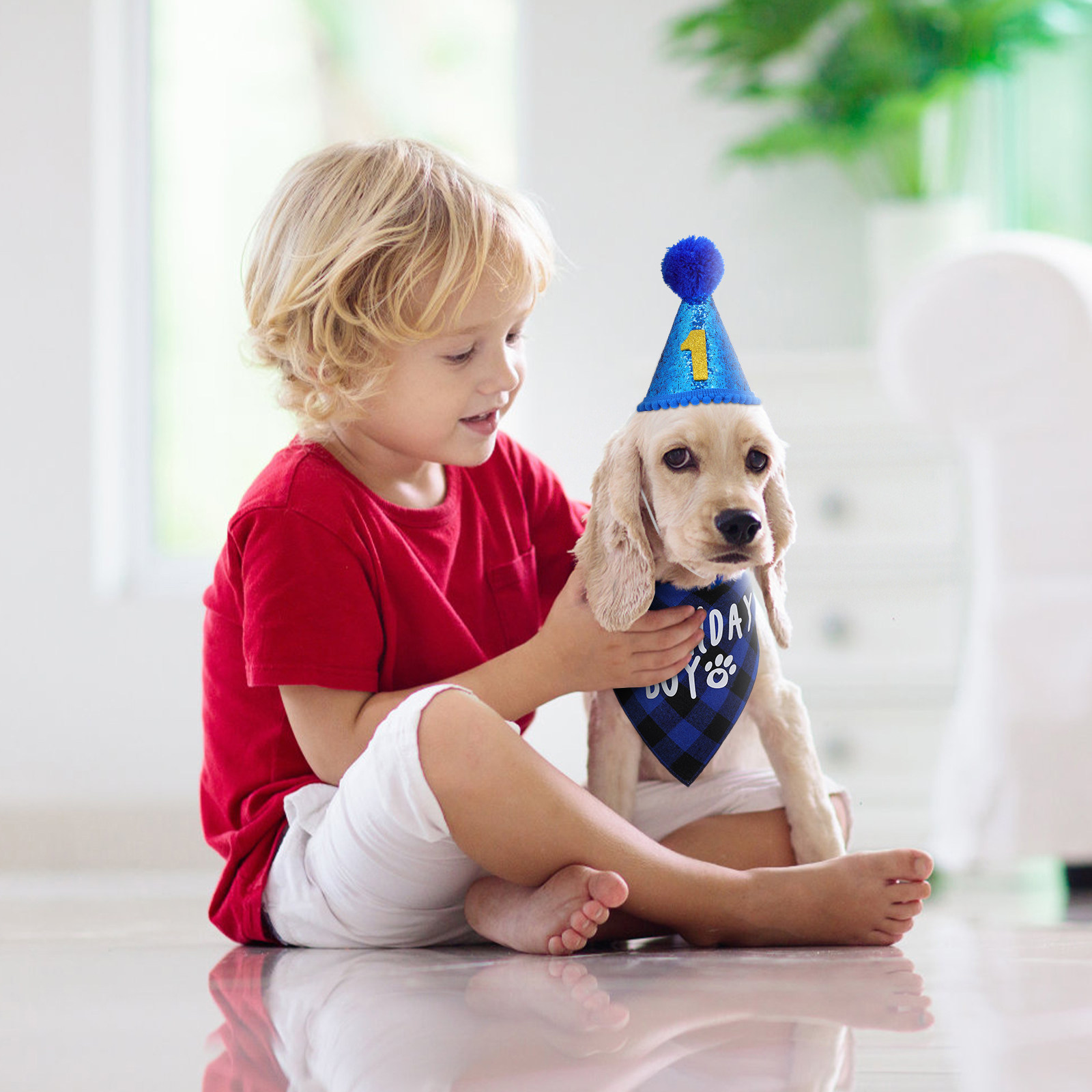 1セットの犬用誕生日バンダナセット、格子柄のバンダナ、キラキ - Party Hat Cone のレビューと価格